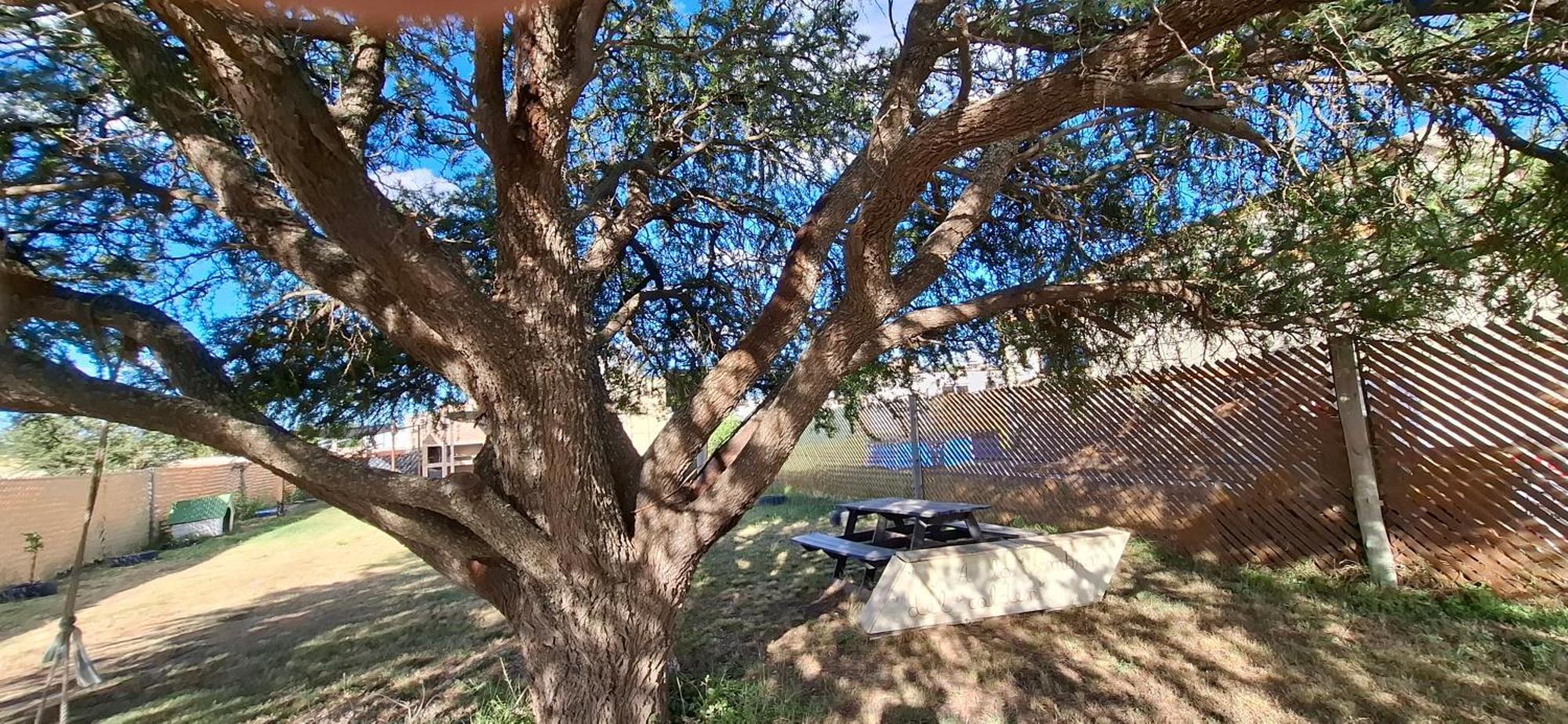 A La Sombra Del Calden Apartment Santa Rosa  Bagian luar foto